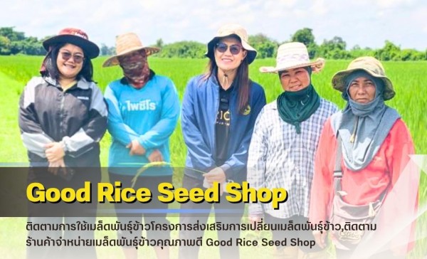 กำแพงเพชร-ศูนย์เมล็ดพันธุ์ข้าวกำแพงเพชร ติดตามร้านค้าจำหน่ายเมล็ดพันธุ์ข้าวคุณภาพดี Good Rice Seed Shop