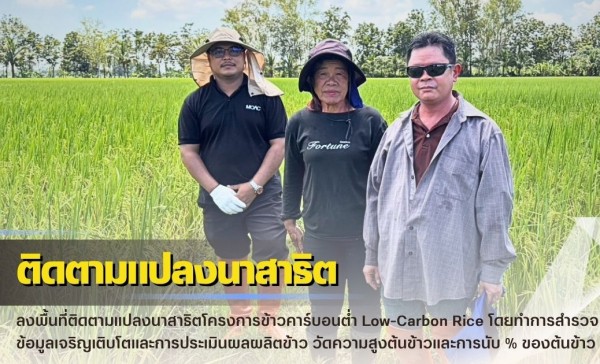กำแพงเพชร-ศูนย์เมล็ดพันธุ์ข้าวกำแพงเพชร ลงพื้นที่ติดตามแปลงนาสาธิตโครงการข้าวคาร์บอนต่ำ “Low-Carbon Rice”