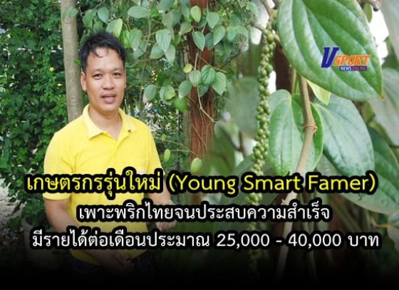 เกษตรกรรุ่นใหม่(Young Smart Famer)เพาะพริกไทย จนประสบความสำเร็จ มีรายได้ต่อเดือนประมาณ 25,000 - 40,000 บาท