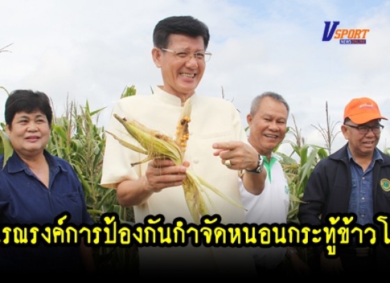 กำแพงเพชร- เกษตรจังหวัดกำแพงเพชร จัดงานวันรณรงค์การป้องกันกำจัดหนอนกระทู้ข้าวโพดลายจุด (มีคลิป)