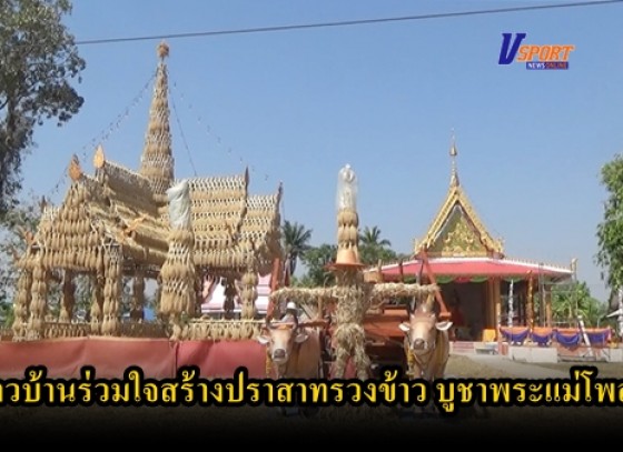 กำแพงเพชร-ชาวบ้านร่วมใจสร้างปราสาทรวงข้าว จัดงานสืบสานวัฒนธรรมประเพณีทำขวัญข้าว บูชาพระแม่โพสพ (มีคลิป) 