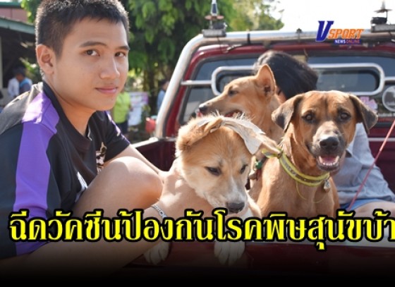 กำแพงเพชร-ทม.เมืองกำแพงเพชร ดำเนินการฉีดวัคซีนป้องกันโรคพิษสุนัขบ้า ตามโครงการสัตว์ปลอดโรค คนปลอดภัย จากโรคพิษสุนัขบ้า (มีคลิป) 