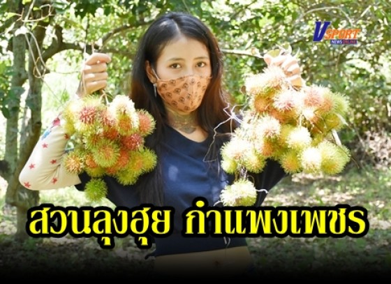 กำแพงเพชร-ประชาชนแห่ซื้อผลไม้ถึงในสวน พร้อมเดินเข้าไปถ่ายรูปกับผลไม้ต่างๆถึงในสวน ลงในโซเซี่ยว ในช่วงวันหยุดยาว (มีคลิป)