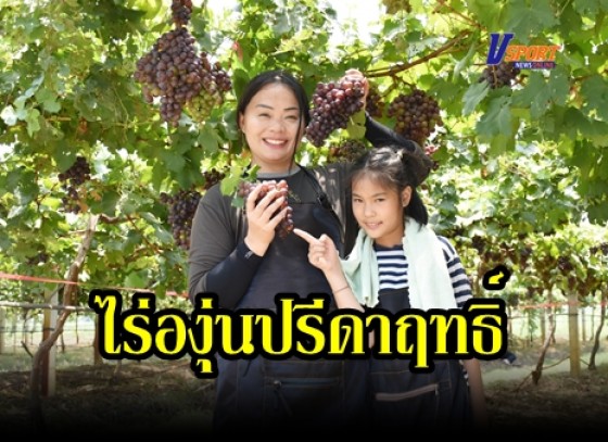 กำแพงเพชร-ประชาชนพากันไปชมไร่องุ่นกันคึกคัก หลังเจ้าของโพสลงโซเซี่ยวทาง facebook ส่วนใหญ่ตื่นเต้นที่ได้เห็นพวงองุ่นที่ยังติดอยู่กับต้น ต่างแปลกใจกำแพงเพชรปลูกองุ่นได้ด้วย(มีคลิป)