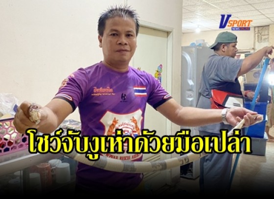 กำแพงเพชร-กู้ภัยข่าวภาพกำแพงเพชรโชว์จับงูเห่าดัวยมือเปล่า (มีคลิป) 