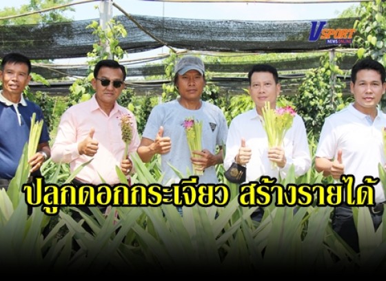 กำแพงเพชร-เกษตรกรตำบลวังบัว น้อมนำหลักปรัชญาของเศรษฐกิจพอเพียง สู่ความมั่นคงทางอาหารที่ยั่งยืน ปรับพื้นที่ 2 ไร่ ปลูกดอกกระเจียว สร้างรายได้ หลังผ่านวิกฤติการแพร่ระบาดของโรคโควิด-19 (มีคลิป) 