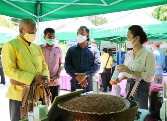 กำแพงเพชร-ปลัดกระทรวงเกษตรและสหกรณ์ เป็นประธาน เปิดอาคารผลิตเครื่องดื่มเพื่อสุขภาพ คอมบูชะ (COMBUCHA) เพื่อมุ่งหวังให้เกษตรกรมีรายได้เพิ่มขึ้น 