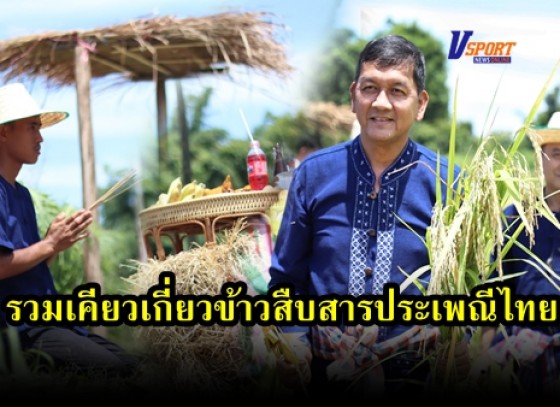 กำแพงเพชร-มหาวิทยาลัยราชภัฎกำแพงเพชร จัดกิจกรรมรวมเคียวเกี่ยวข้าวสืบสารประเพณีทำขวัญข้าว และกิจกรรมเสวนาเกษตรวิถีพอเพียง สู่เทคโนโลยีของเด็กยุคใหม่ สร้างศักยภาพให้เป็นขุมพลังแห่ปัญญา พัฒนาท้องถิ่น 