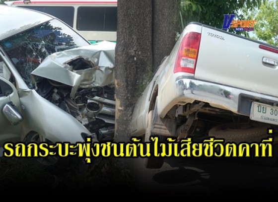 กำแพงเพชร-ขับรถกระบะพุ่งชนต้นไม้อย่างจัง รถพังยับ หญิงคนขับวัย 60 ปี เสียชีวิตคาที่ คาดหลับใน เพราะไม่มีร่องรอยการเบรค 