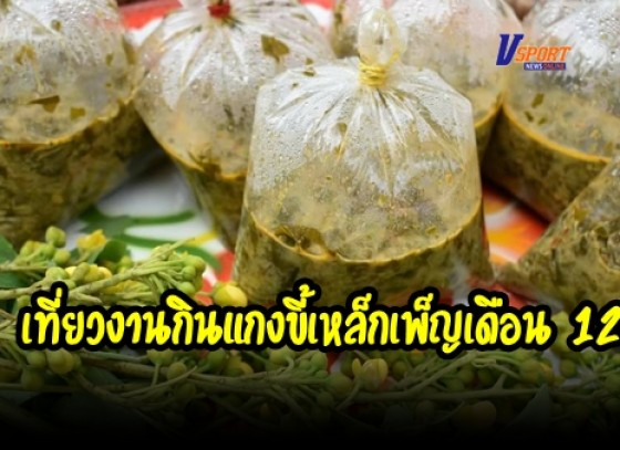 กำแพงเพชร- ชาวนครชุมร่วมกันสืบสาน จัดกิจกรรม เที่ยวงานกินแกงขี้เหล็กเพ็ญเดือน 12 