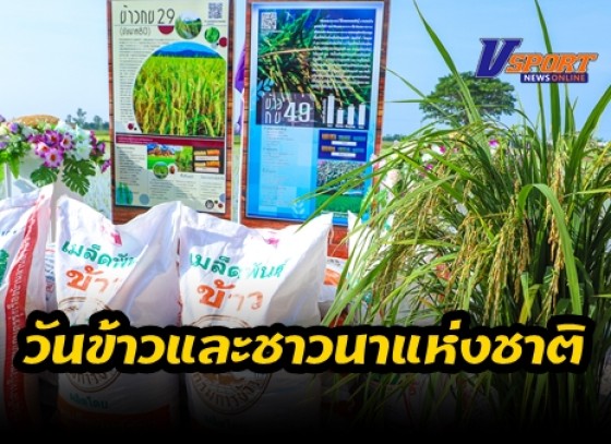 กำแพงเพชร-ศูนย์เมล็ดพันธุ์ข้าวจังหวัดกำแพงเพชร เปิดงานวันถ่ายทอดเทคโนโลยีการผลิตข้าว โดยสมเด็จพระกนิษฐาธิราชเจ้า กรมสมเด็จพระเทพรัตนราชสุดาฯ สยามบรมราชกุมารี