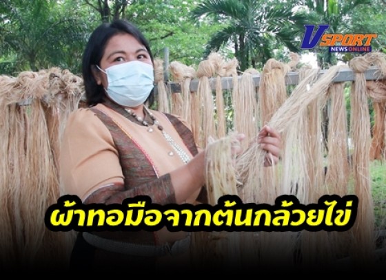 กำแพงเพชร-สุดทึ่ง ผ้าทอมือจากต้นกล้วยไข่กลายเป็น อัตลักษณ์ผ้าถิ่น หนึ่งเดียวในโลก ฝีมือกลุ่มแม่หญิง อ.ขาณุวรลักษบุรี จ.กำแพงเพชร