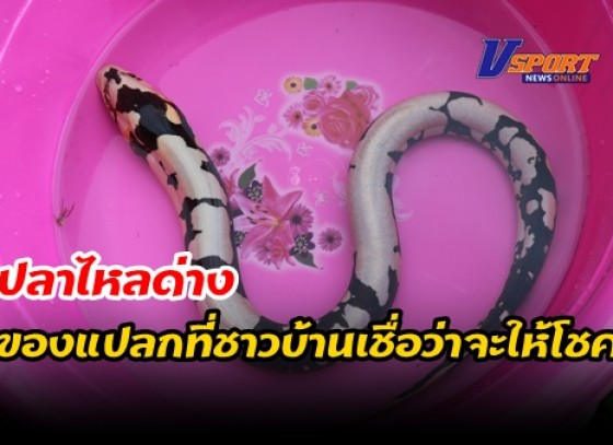 กำแพงเพชร-ชาวบ้านเจออีก 