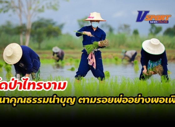 กำแพงเพชร-วัดป่าไทรงาม เปิดโครงการชุมชนคุณธรรมวิถีไทย ตามรอยพ่ออย่างพอเพียง ดำนาคุณธรรมนำบุญ