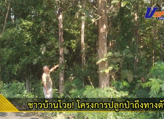 กำแพงเพชร-ชาวบ้านโวย! โครงการปลูกป่าถึงทางตัน หลังจากยื่นหนังสือหาทางออกมาแล้วนับสิบปี พร้อมยอมติดคุกหากตัดแล้วโดนจับ สูญเงินกว่า 10 ล้านบาท