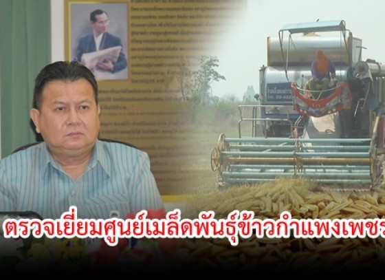 กำแพงเพชร-ผู้ว่าราชการจังหวัดกำแพงเพชร ตรวจเยี่ยมศูนย์เมล็ดพันธุ์ข้าวกำแพงเพชร