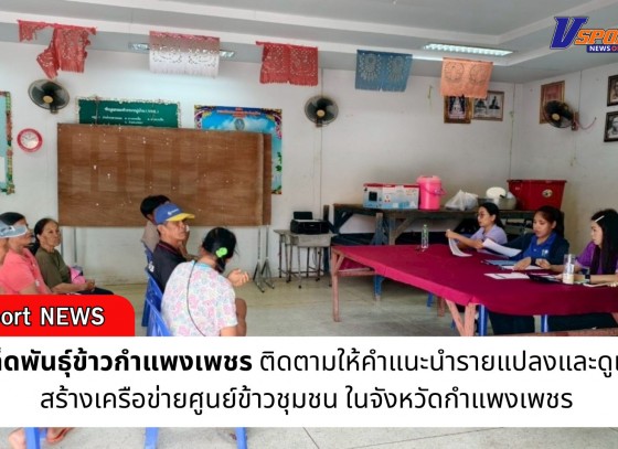 กำแพงเพชร-ศูนย์เมล็ดพันธุ์ข้าวกำแพงเพชร ติดตามให้คำแนะนำรายแปลงและดูแลการสร้างเครือข่ายศูนย์ข้าวชุมชน