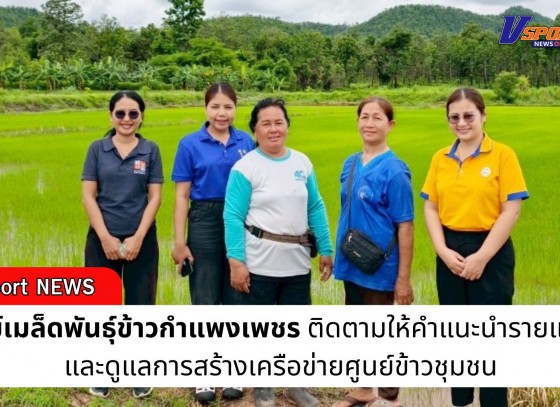 กำแพงเพชร-ศูนย์เมล็ดพันธุ์ข้าวกำแพงเพชร ติดตามให้คำแนะนำรายแปลงและดูแลการสร้างเครือข่ายศูนย์ข้าวชุมชน
