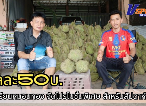 กำแพงเพชร-ทุเรียนหมอนทองขายกิโลกรัมละ 50 ถึง 89 บาท โปรโมชั่นพิเศษสำหรับสัปดาห์นี้ ณ สวนทุเรียนสุขนาบูรณ์กำแพงเพชร