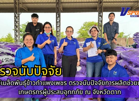 กำแพงเพชร-ศูนย์เมล็ดพันธุ์ข้าวกำแพงเพชร ตรวจนับปัจจัยการผลิตช่วยเหลือเกษตรกรผู้ประสบอุทกภัย ณ จังหวัดตาก