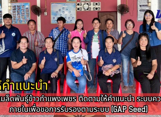 กำแพงเพชร-ศูนย์เมล็ดพันธุ์ข้าวกำแพงเพชร ติดตามให้คำแนะนำ ระบบควบคุมภายในเพื่อขอการรับรองตามระบบ (GAP Seed)