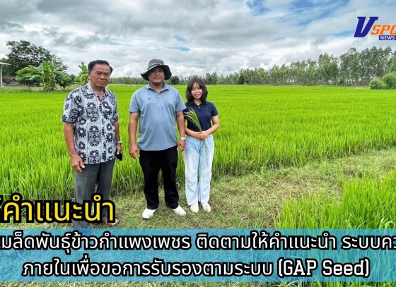 กำแพงเพชร-ศูนย์เมล็ดพันธุ์ข้าวกำแพงเพชร ติดตามให้คำแนะนำ ระบบควบคุมภายในเพื่อขอการรับรองตามระบบ (GAP Seed)