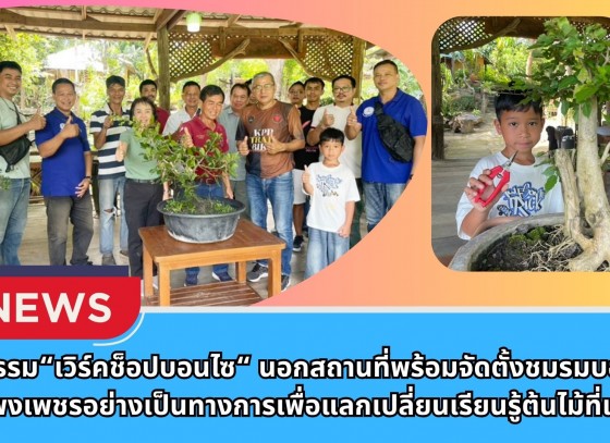 กำแพงเพชร-กิจกรรม เวิร์คช็อปบอนไซ นอกสถานที่พร้อมจัดตั้งชมรมบอนไซกำแพงเพชรอย่างเป็นทางการเพื่อแลกเปลี่ยนเรียนรู้ต้นไม้ที่เรารัก