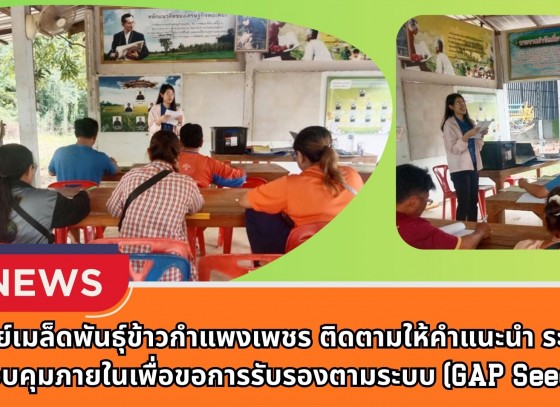กำแพงเพชร-ศูนย์เมล็ดพันธุ์ข้าวกำแพงเพชร ติดตามให้คำแนะนำ ระบบควบคุมภายในเพื่อขอการรับรองตามระบบ (GAP Seed) ภายใต้โครงการยกระดับคุณภาพมาตรฐานสินค้า ปี 2569