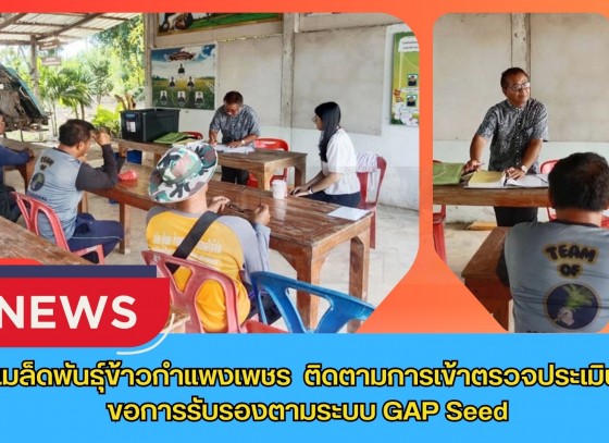 กำแพงเพชร-ศูนย์เมล็ดพันธุ์ข้าวกำแพงเพชร ติดตามการเข้าตรวจประเมิน เพื่อขอการรับรองตามระบบ GAP Seed