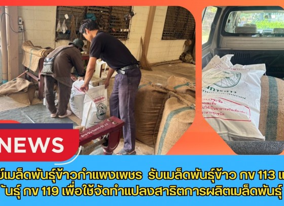 กำแพงเพชร-ศูนย์เมล็ดพันธุ์ข้าวกำแพงเพชร รับเมล็ดพันธุ์ข้าว กข113 และพันธุ์ กข119 เพื่อใช้จัดทำแปลงสาธิตการผลิตเมล็ดพันธุ์