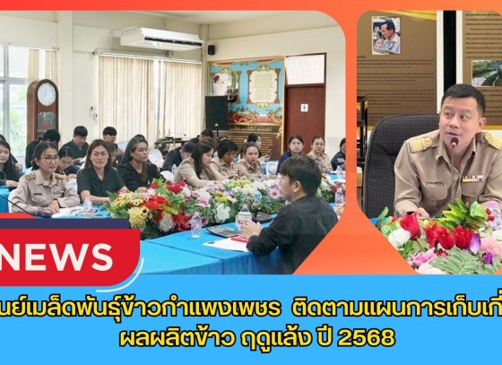 กำแพงเพชร-ศูนย์เมล็ดพันธุ์ข้าวกำแพงเพชร ติดตามแผนการเก็บเกี่ยวผลผลิตข้าว ฤดูแล้ง ปี 2568