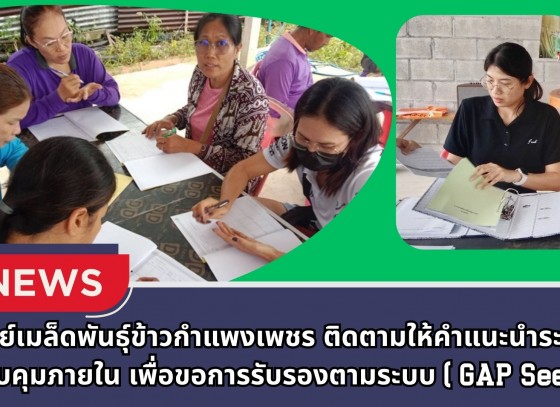 กำแพงเพชร-ศูนย์เมล็ดพันธุ์ข้าวกำแพงเพชร ติดตามให้คำแนะนำ ระบบควบคุมภายใน เพื่อขอการรับรองตามระบบ (GAP Seed)