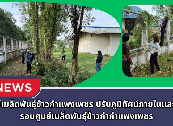 กำแพงเพชร-ศูนย์เมล็ดพันธุ์ข้าวกำแพงเพชร ร่วมแรงร่วมใจทำความสะอาด ปรับภูมิทัศน์ภายในและโดยรอบศูนย์เมล็ดพันธุ์ข้าวกำกำแพงเพชร