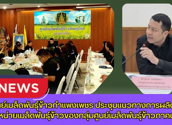 กำแพงเพชร-ศูนย์เมล็ดพันธุ์ข้าวกำแพงเพชร ประชุมแนวทางการผลิตและจำหน่ายเมล็ดพันธุ์ข้าวของกลุ่มศูนย์เมล็ดพันธุ์ข้าวภาคเหนือ
