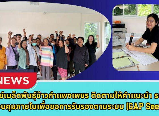 กำแพงเพชร-ศูนย์เมล็ดพันธุ์ข้าวกำแพงเพชร ติดตามให้คำแนะนำ ระบบควบคุมภายในเพื่อขอการรับรองตามระบบ (GAP Seed)