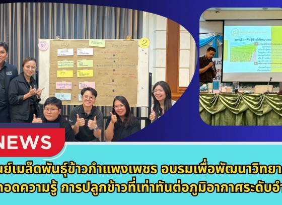 กำแพงเพชร-ศูนย์เมล็ดพันธุ์ข้าวกำแพงเพชร อบรมเพื่อพัฒนาวิทยากรถ่ายทอดความรู้ การปลูกข้าวที่เท่าทันต่อภูมิอากาศระดับอำเภอ