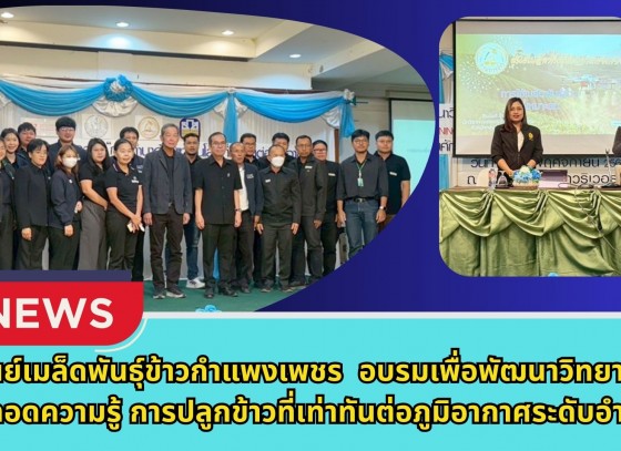 กำแพงเพชร-ศูนย์เมล็ดพันธุ์ข้าวกำแพงเพชร อบรมเพื่อพัฒนาวิทยากรถ่ายทอดความรู้ การปลูกข้าวที่เท่าทันต่อภูมิอากาศระดับอำเภอ