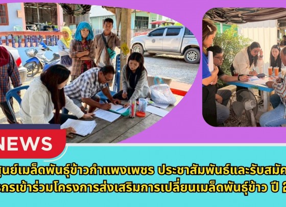 กำแพงเพชร-ศูนย์เมล็ดพันธุ์ข้าวกำแพงเพชร ประชาสัมพันธ์และรับสมัครเกษตรกรเข้าร่วมโครงการส่งเสริมการเปลี่ยนเมล็ดพันธุ์ข้าว ปี 2569