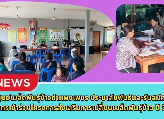 กำแพงเพชร-ศูนย์เมล็ดพันธุ์ข้าวกำแพงเพชร ประชาสัมพันธ์และรับสมัครเกษตรกรเข้าร่วมโครงการส่งเสริมการเปลี่ยนเมล็ดพันธุ์ข้าว ปี 2569