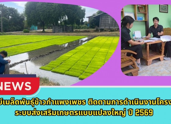 กำแพงเพชร-ศูนย์เมล็ดพันธุ์ข้าวกำแพงเพชร ติดตามการดำเนินงานโครงการระบบส่งเสริมเกษตรแบบแปลงใหญ่ ปี 2569
