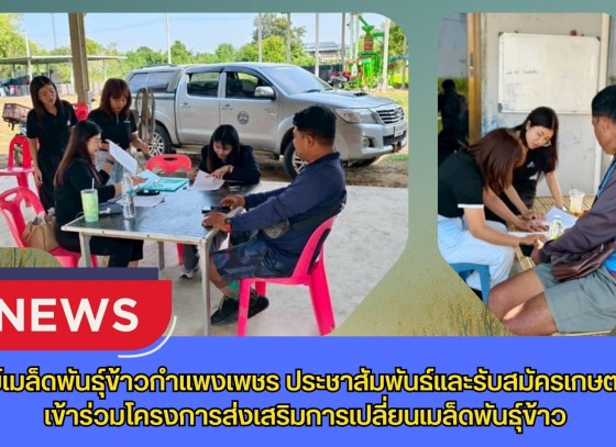 กำแพงเพชร-ศูนย์เมล็ดพันธุ์ข้าวกำแพงเพชร ประชาสัมพันธ์และรับสมัครเกษตรกร เข้าร่วมโครงการส่งเสริมการเปลี่ยนเมล็ดพันธุ์ข้าว