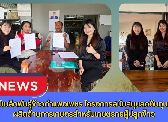 กำแพงเพชร-ศูนย์เมล็ดพันธุ์ข้าวกำแพงเพชร โครงการสนับสนุนลดต้นทุนการผลิตด้านการเกษตรสำหรับเกษตรกรผู้ปลูกข้าว