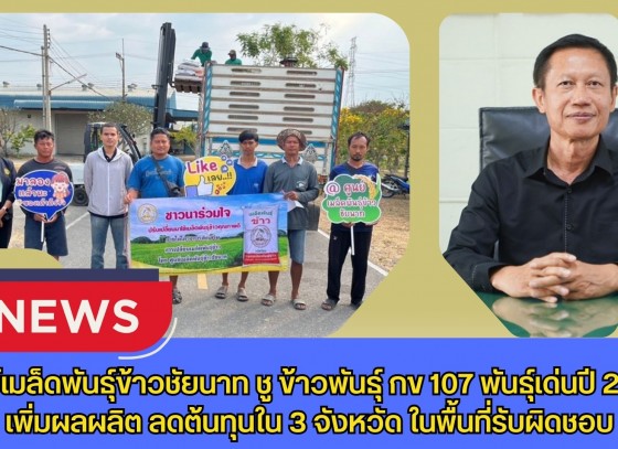 ศูนย์เมล็ดพันธุ์ข้าวชัยนาท ชูพันธุ์ข้าว กข 107 พันธุ์เด่นปี 2569 เพิ่มผลผลิต ลดต้นทุนใน 3 จังหวัด ในพื้นที่รับผิดชอบ