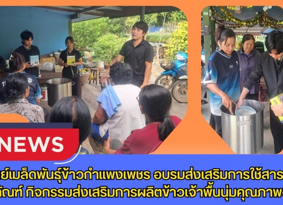 กำแพงเพชร-ศูนย์เมล็ดพันธุ์ข้าวกำแพงเพชร อบรมส่งเสริมการใช้สารชีวภัณฑ์ กิจกรรมส่งเสริมการผลิตข้าวเจ้าพื้นนุ่มคุณภาพดี