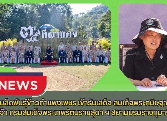 กำแพงเพชร-ศูนย์เมล็ดพันธุ์ข้าวกำแพงเพชร เข้ารับเสด็จ สมเด็จพระกนิษฐาธิราชเจ้า กรมสมเด็จพระเทพรัตนราชสุดา ฯ สยามบรมราชกุมารี
