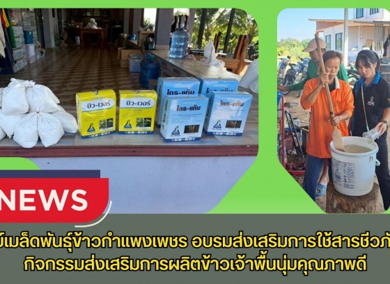 กำแพงเพชร-ศูนย์เมล็ดพันธุ์ข้าวกำแพงเพชร อบรมส่งเสริมการใช้สารชีวภัณฑ์ กิจกรรมส่งเสริมการผลิตข้าวเจ้าพื้นนุ่มคุณภาพดี