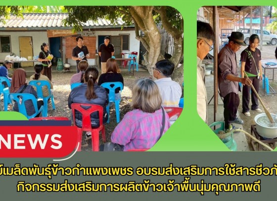 กำแพงเพชร-ศูนย์เมล็ดพันธุ์ข้าวกำแพงเพชร อบรมส่งเสริมการใช้สารชีวภัณฑ์ กิจกรรมส่งเสริมการผลิตข้าวเจ้าพื้นนุ่มคุณภาพดี