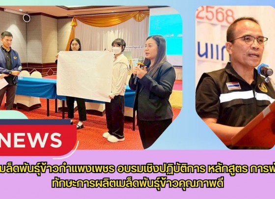 กำแพงเพชร-ศูนย์เมล็ดพันธุ์ข้าวกำแพงเพชร อบรมเชิงปฏิบัติการ หลักสูตร การพัฒนาทักษะการผลิตเมล็ดพันธุ์ข้าวคุณภาพดี
