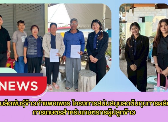 กำแพงเพชร-ศูนย์เมล็ดพันธุ์ข้าวกำแพงเพชร โครงการสนับสนุนลดต้นทุนการผลิตด้านการเกษตรสำหรับเกษตรกรผู้ปลูกข้าว