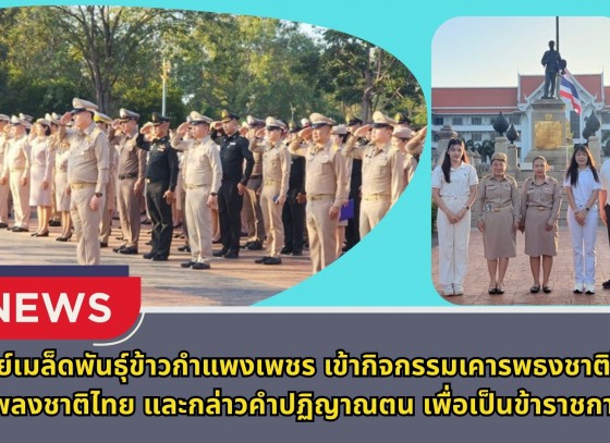 กำแพงเพชร-ศูนย์เมล็ดพันธุ์ข้าวกำแพงเพชร เข้ากิจกรรมเคารพธงชาติไทย ร้องเพลงชาติไทย และกล่าวคำปฏิญาณตน เพื่อเป็นข้าราชการที่ดี